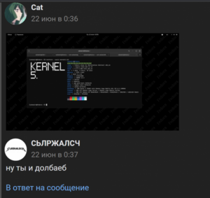 509px-Начало форса -- бот реагирует на neofetch.png